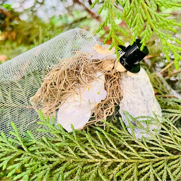 Handmade Beach Wedding Christmas Tree Ornament Decoration Seashells Spanish Moss - Picture 1 of 7